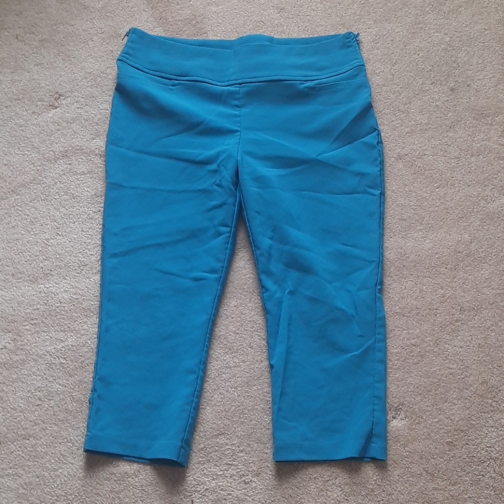 Capris - Picture 1 of 6